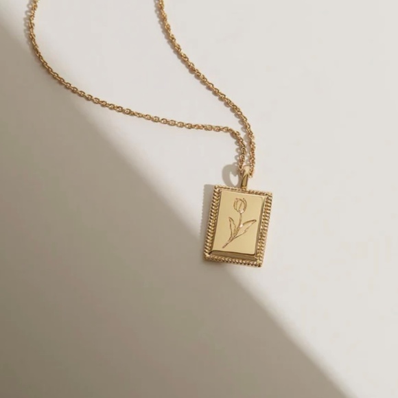 *ISO* ANA LUISA ZOE NECKLACE - Picture 1 of 4